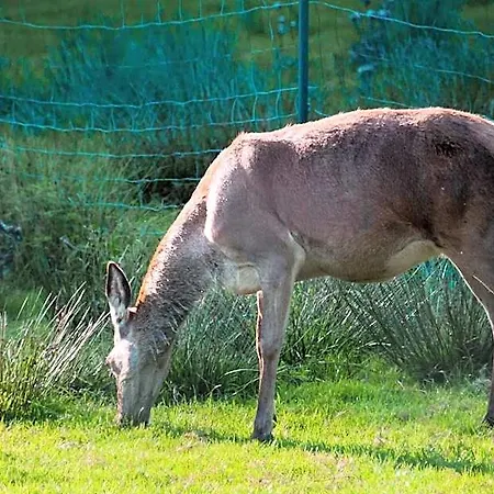 Szálloda Naturhotel Rebling 4*